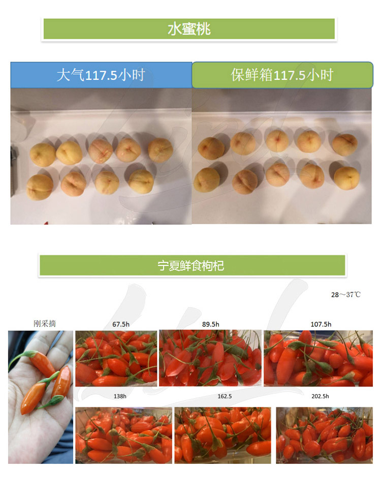 邻得膜生鲜果蔬自发气调保鲜包装技术详情换成这个_04.jpg